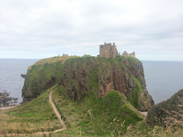 steeleybawz's profile picture. 