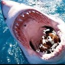 Caleb Harvey - @Slik_Man_Bird - Twitter