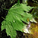 Susan Federman - @SusanFederman - Twitter