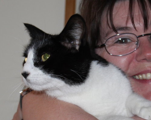 Teessider. Former BBC news producer. All views expressed are mine, all mine! Love creativity and cats.