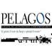 pelagos letteratura (@pelagosletterat) Twitter profile photo
