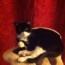 Amy Fordham - @labsettings - Twitter