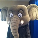 Mark Tasker - @MarkTasker1 - Twitter