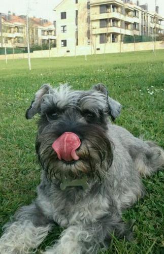a veces mi lolucu huele a orines...