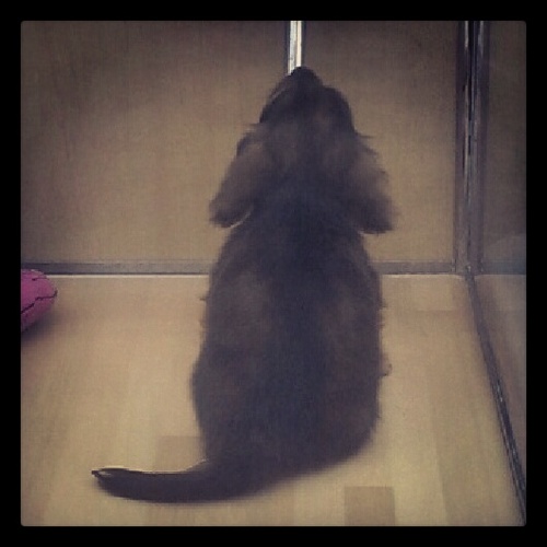 nontuuu111's profile picture. 現在🇦🇺。2021に第一子出産、2022に第二子出産🧒👶