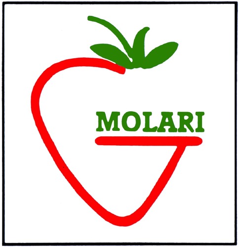 VivaiMolari's profile picture. Leader nella produzione di piante di piccoli frutti.SMALL FRUITS,BIG PLANTS.