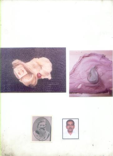 radhasoami885's profile picture. Custodian of Holy Relict ( Kesh ) of Parampurush Samad Huzur Swami Ji Maharaj DITERMENT FOR SPIRITUAL UNIVERSITY OF SANTMAT