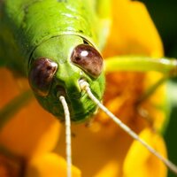 ゆうき (@yukio_sun) 's Twitter Profile