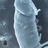 kikutihiromitu's profile image
