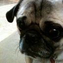 Chad Hinton - @chadhinton - Twitter