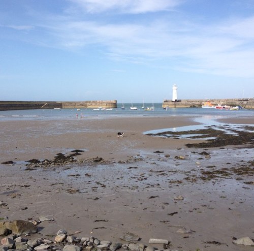 joannehana's profile picture. 