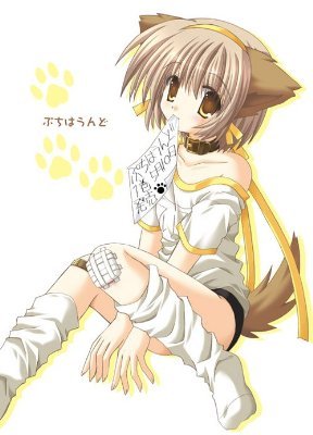 I'm a playful and crazy wolf...very clumsy...I love making people happy...maybe just a bit random ^_^ I love my toys (single)