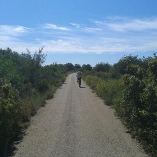 ovallbe's profile picture. -