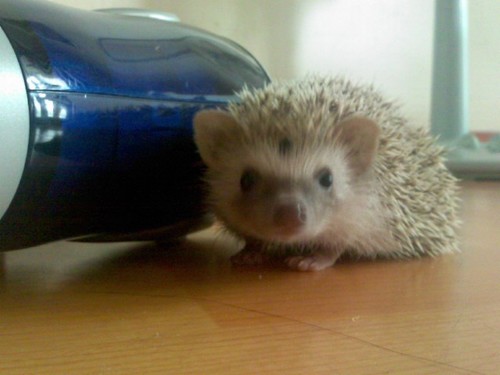 ddddddddda95's profile picture. 