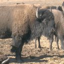 Chuck Mott - @ChuckMott1 - Twitter