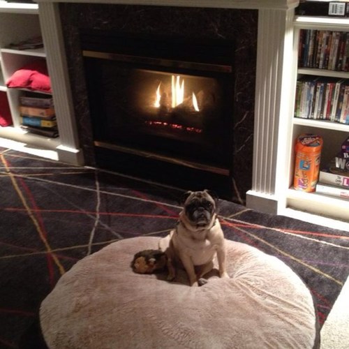 tcanphilly's profile picture. 