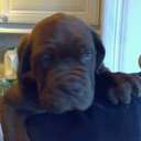 paul wilson - @willow_paul - Twitter