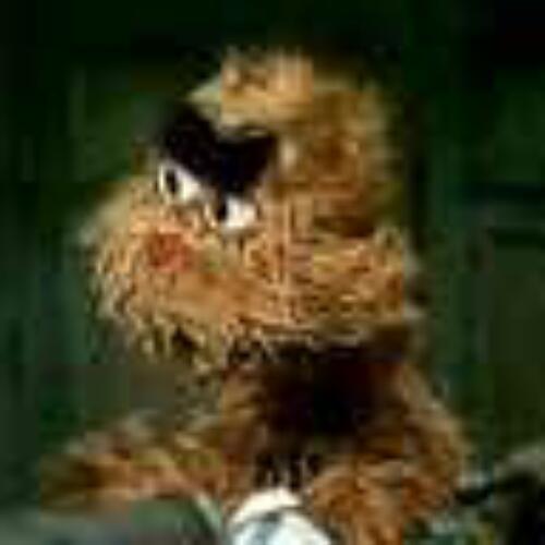 derNepomuk's profile picture. ich bin Humorvoll - nen Typ zum Pferde stehlen -Hilfsbereit - oft  Gut gelaunt - manchmal nen Komischer Kautz i am what i am - GlücklichVerheiratet @MopsLucy ❤️