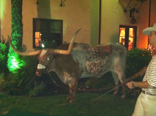 hornfan04's profile picture. 