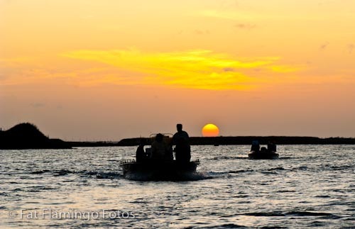#NorthPadrePics, #NorthPadrePhotos, #NorthPadrePhotography, #NorthPadreIsland, #PadreIsland, Photos, Photography, Pics
