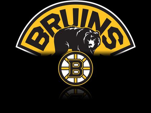 BFbrazil é o Melhor Site sobre o Boston Bruins No Brasil, Pioneiro Na Divulgação do Hockey, sendo o Criador de Projetos como Guia Do Hockey, entre outros.