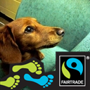 jaytith's profile picture. 