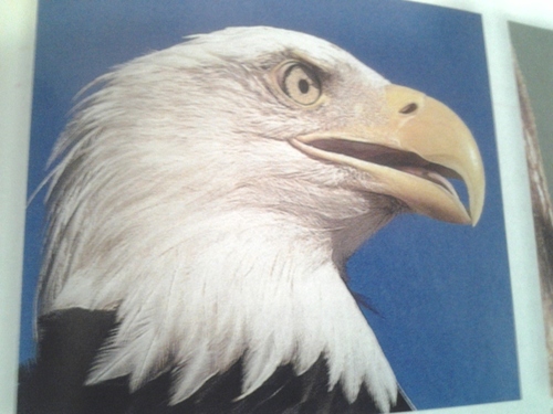 Shells92151245's profile picture. check me out on facebook...lraschellmorton@yahoo.com