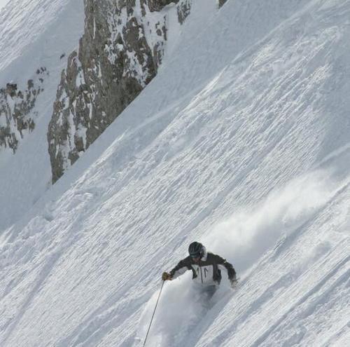 ImnotSkip's profile picture. Son. Father. Brother. Husband. Grandfather. Cyclist. Skier.