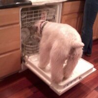 Robert Sokolowski (@bobsox68) 's Twitter Profile