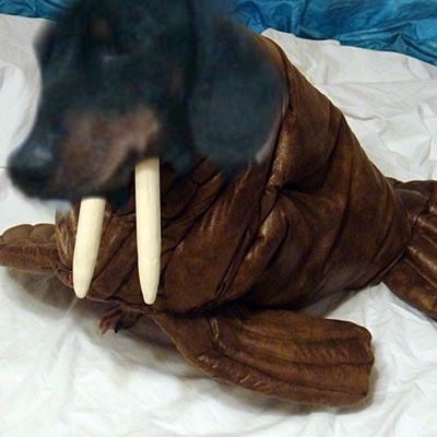 caranda13's profile picture. Lose yourself to dance...

#RaFans