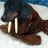 caranda13's profile image