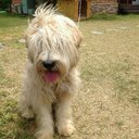 mia jang - @gomdoriman - Twitter