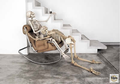 websitedude's profile picture. 