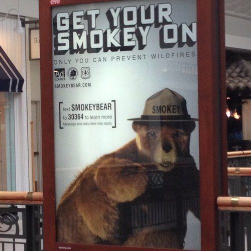 joshpiechowski's profile picture. 