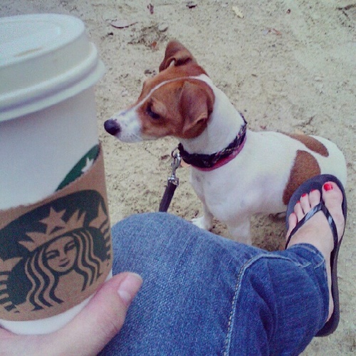 Small_Ky's profile picture. 