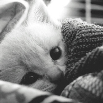 123roo7i's profile picture. 