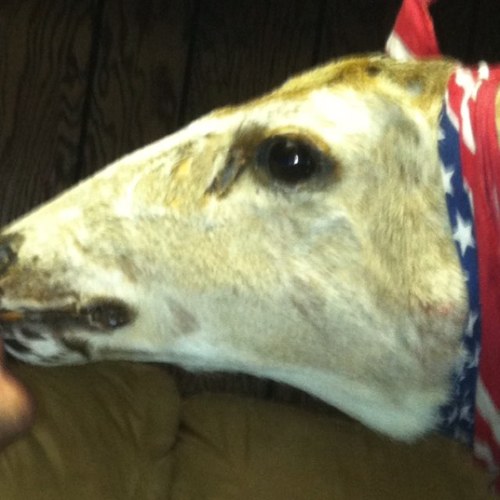 The_TC_Line's profile picture. ‘26