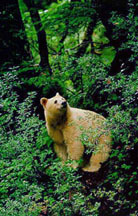 kermodeist's profile picture. 