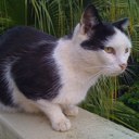 Julia Mark - @PaliuliJulie - Twitter