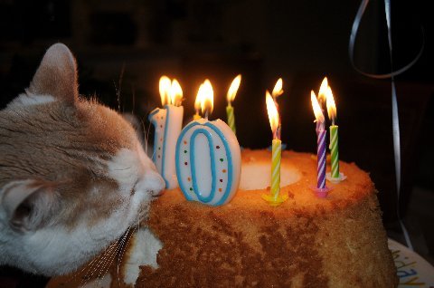 alanbweaver's profile picture. design websites, trainicomputer apps (MS Office incl Word/Excel/Pivot Tables/PowerPoint/Access, Adobe Creative Cloud - (Photoshop, InDesign) photo restoration