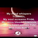 Beth Elkins - @belkins60 - Twitter