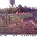 terry wright - @TerryTwright66 - Twitter