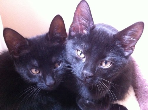 Teri97's profile picture. 