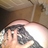 wildbillstang3's profile image