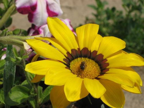 wshab's profile picture. 