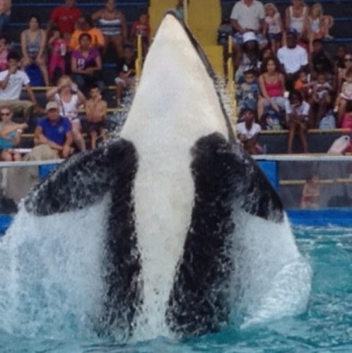 ROGDCboys2009's profile picture. 