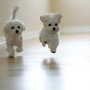 Shania Smith - @Shania_Makala - Twitter