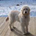 Carolyn Schultz - @Carsch195 - Twitter