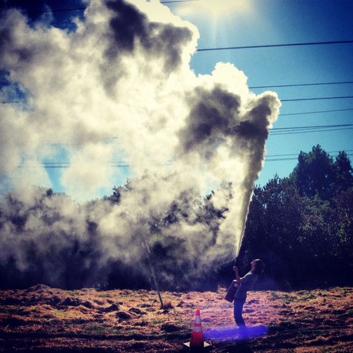 alliwant_'s profile picture. All I Want Is To Be Twitter Famous.