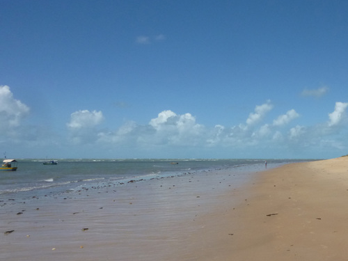 Anne Olivier (@AnneOBrooklyn) | Twitter